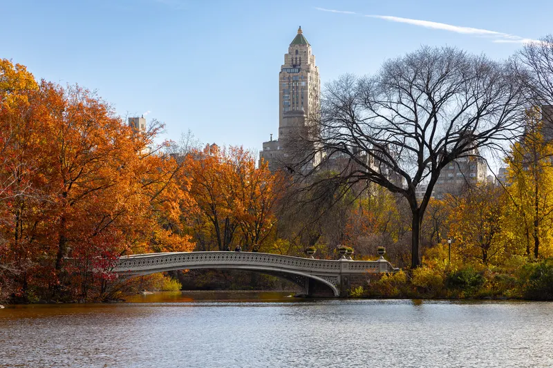 Bow Bridge framed by autumn foliage in Central Park