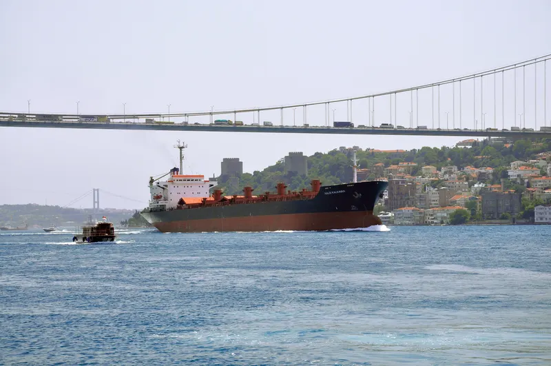 Ship passing under the Fatih Sultan Mehmet Bridge on the Bosphorus